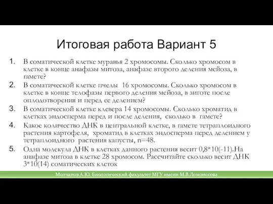 Итоговая работа Вариант 5 В соматической клетке муравья 2 хромосомы. Сколько