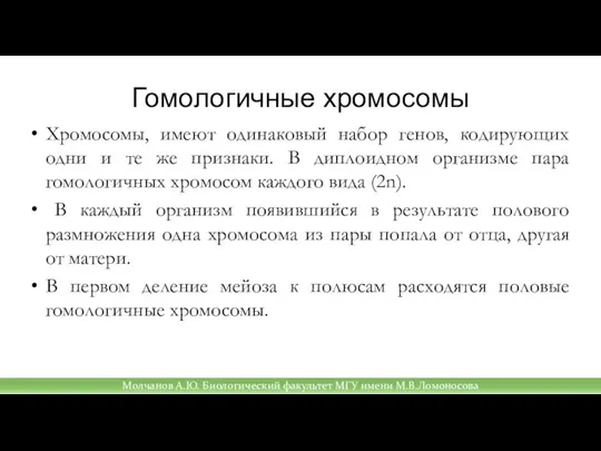 Гомологичные хромосомы Хромосомы, имеют одинаковый набор генов, кодирующих одни и те