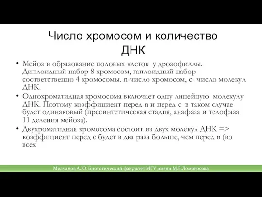 Число хромосом и количество ДНК Мейоз и образование половых клеток у