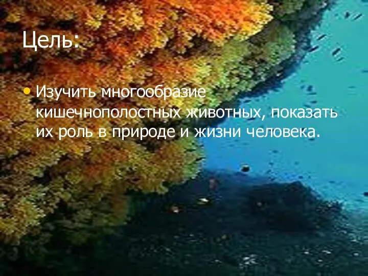 Цель: Изучить многообразие кишечнополостных животных, показать их роль в природе и жизни человека.