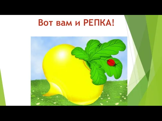 Вот вам и РЕПКА!