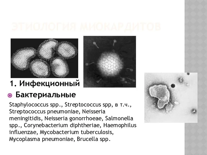 ЭТИОЛОГИЯ МИОКАРДИТОВ 1. Инфекционный Бактериальные Staphylococcus spp., Streptococcus spp, в т.ч.,