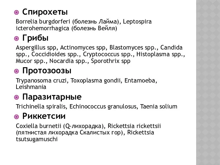 Спирохеты Borrelia burgdorferi (болезнь Лайма), Leptospira icterohemorrhagica (болезнь Вейля) Грибы Aspergillus