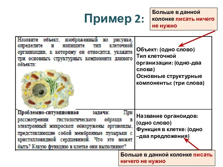 Пример 2: Объект: (одно слово) Тип клеточной организации: (одно-два слова) Основные