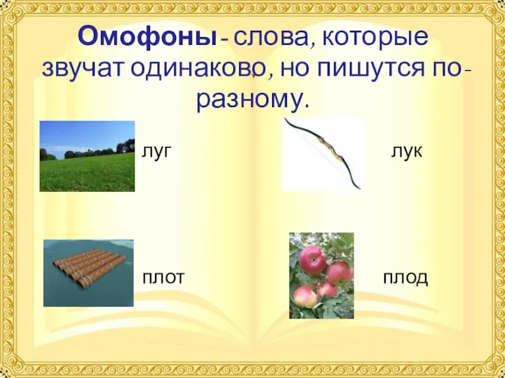 Омофоны- слова, которые звучат одинаково, но пишутся по-разному. луг лук плот плод