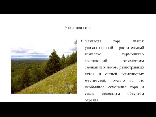 Улантова гора Улантова гора имеет уникальнейший растительный комплекс, гармонично сочетающий экосистемы