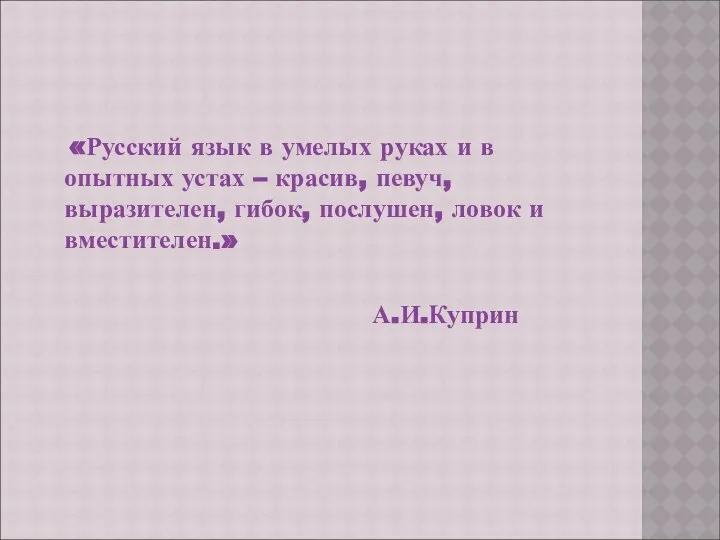 «Русский язык в умелых руках и в опытных устах – красив,