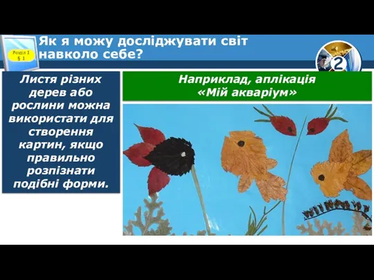 Як я можу досліджувати світ навколо себе? Розділ 1 § 1