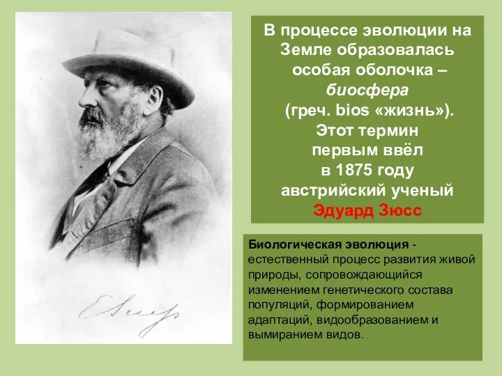 В процессе эволюции на Земле образовалась особая оболочка – биосфера (греч.