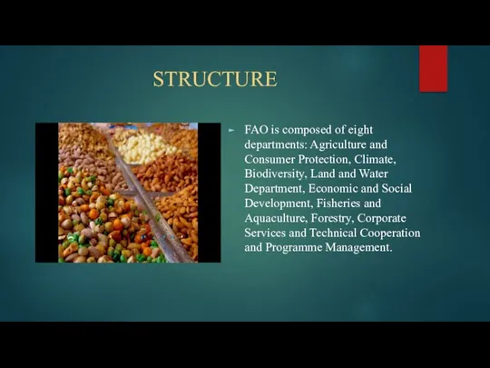 STRUCTURE FAO is composed of eight departments: Agriculture and Consumer Protection,