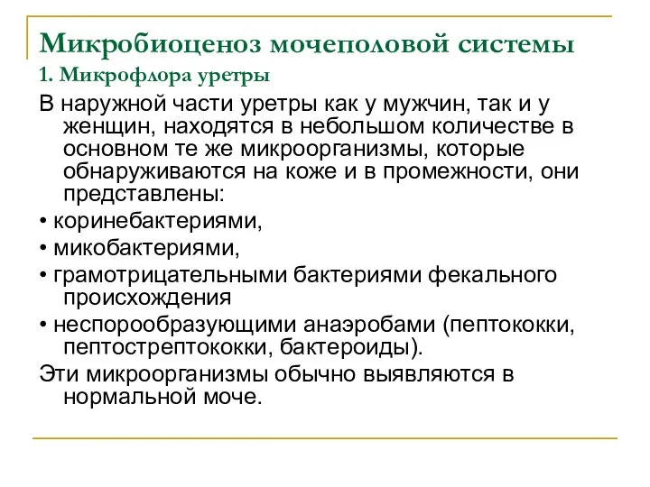 Микробиоценоз мочеполовой системы 1. Микрофлора уретры В наружной части уретры как