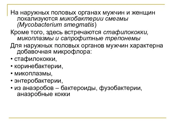 На наружных половых органах мужчин и женщин локализуются микобактерии смегмы (Mycobacterium