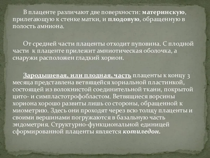 В плаценте различают две поверхности: материнскую, прилегающую к стенке матки, и