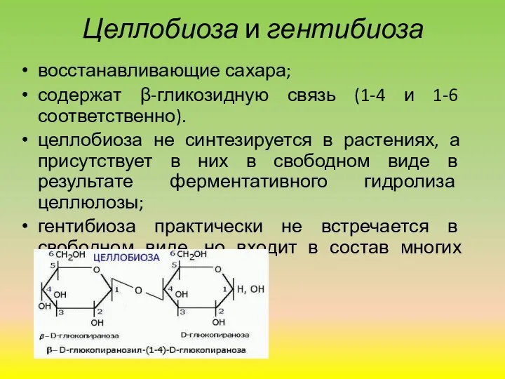 Целлобиоза и гентибиоза восстанавливающие сахара; содержат β-гликозидную связь (1-4 и 1-6