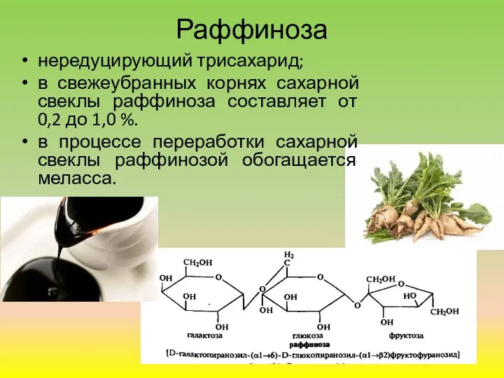 Раффиноза нередуцирующий трисахарид; в свежеубранных корнях сахарной свеклы раффиноза составляет от