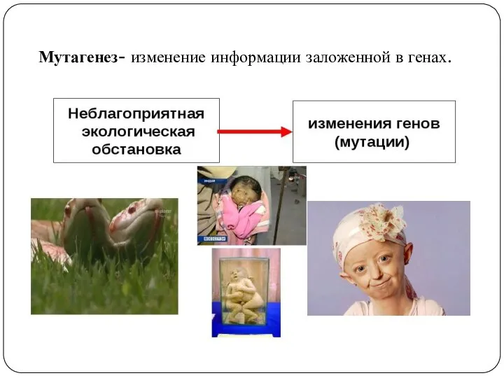 Мутагенез- изменение информации заложенной в генах.