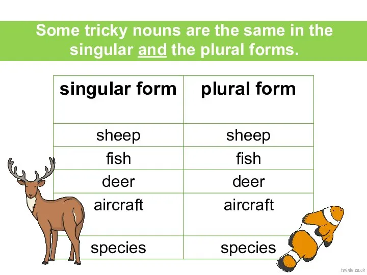 Some tricky nouns are the same in the singular and the plural forms.