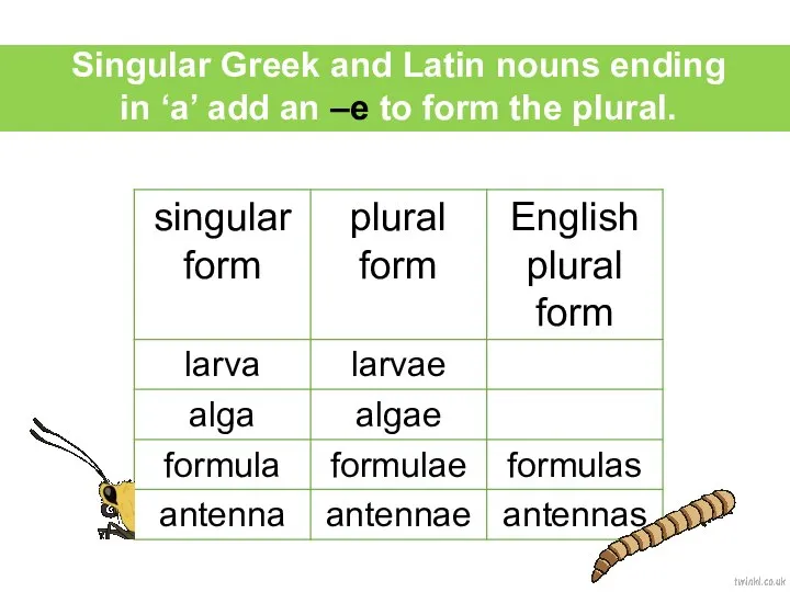 Singular Greek and Latin nouns ending in ‘a’ add an –e to form the plural.