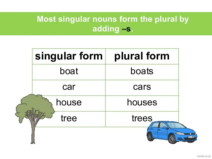 t Most singular nouns form the plural by adding –s.