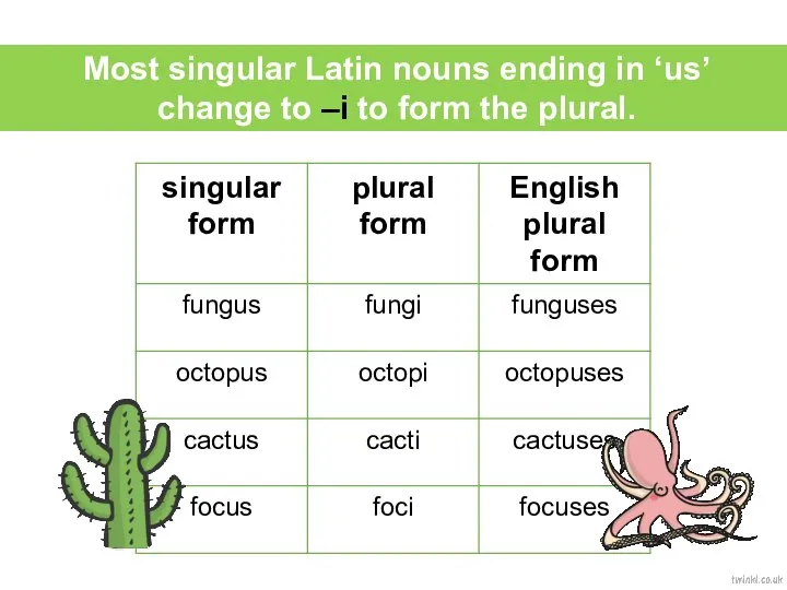 Most singular Latin nouns ending in ‘us’ change to –i to form the plural.