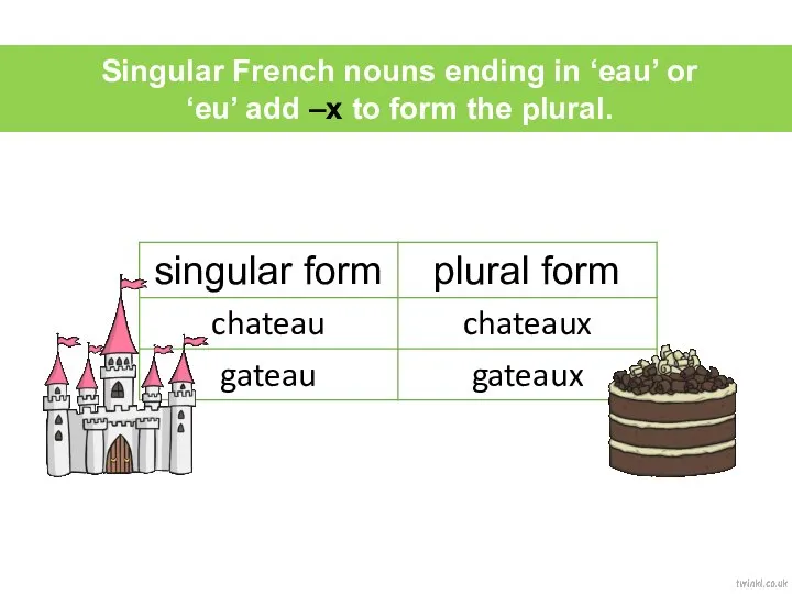 Singular French nouns ending in ‘eau’ or ‘eu’ add –x to form the plural.