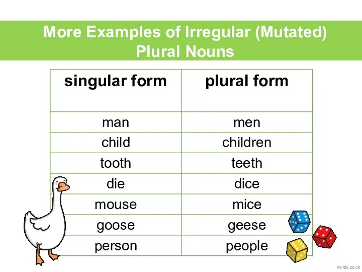 More Examples of Irregular (Mutated) Plural Nouns