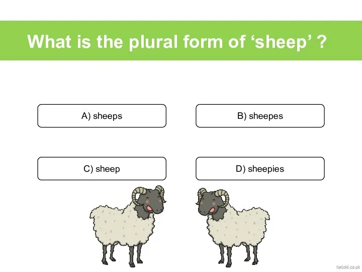 What is the plural form of ‘sheep’ ? A) sheeps B) sheepes C) sheep D) sheepies