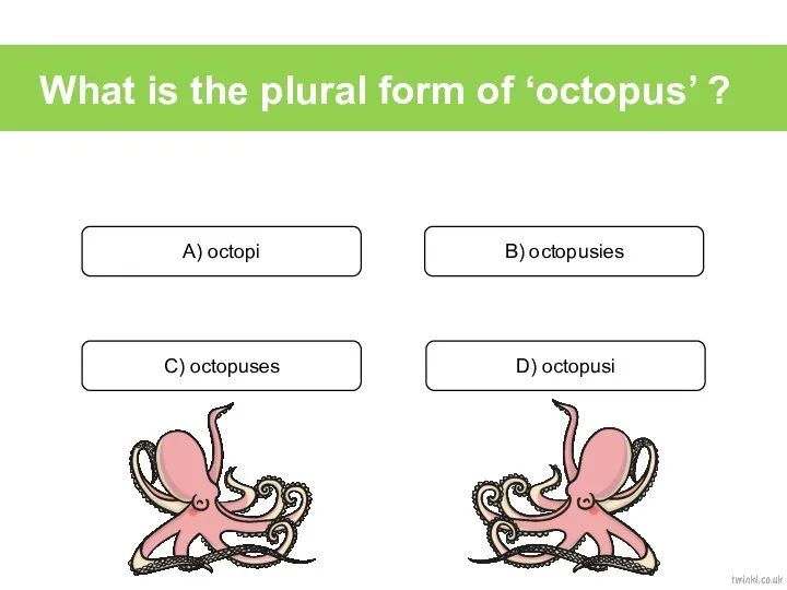 What is the plural form of ‘octopus’ ? A) octopi B) octopusies C) octopuses D) octopusi