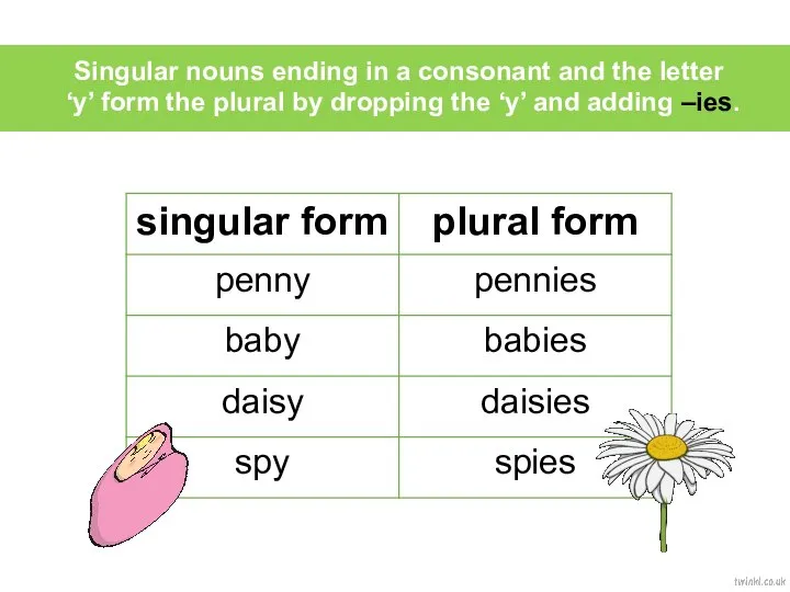 Singular nouns ending in a consonant and the letter ‘y’ form