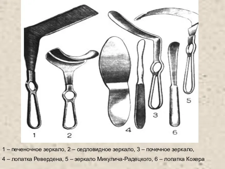 1 – печеночное зеркало, 2 – седловидное зеркало, 3 – почечное