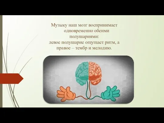 Музыку наш мозг воспринимает одновременно обеими полушариями: левое полушарие ощущает ритм,