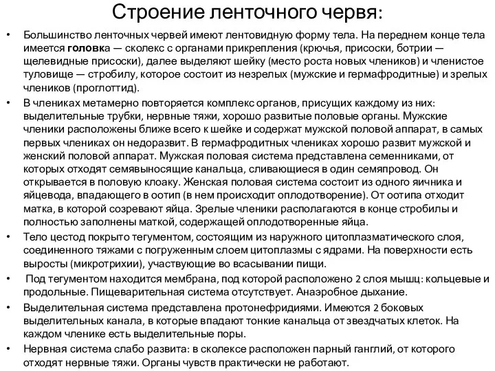 Строение ленточного червя: Большинство ленточных червей имеют лентовидную форму тела. На