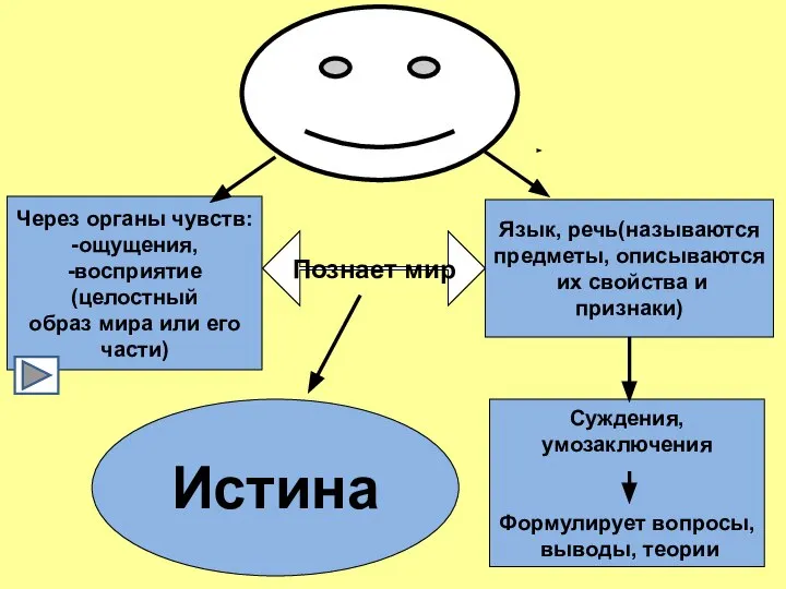 Через органы чувств: -ощущения, -восприятие (целостный образ мира или его части)