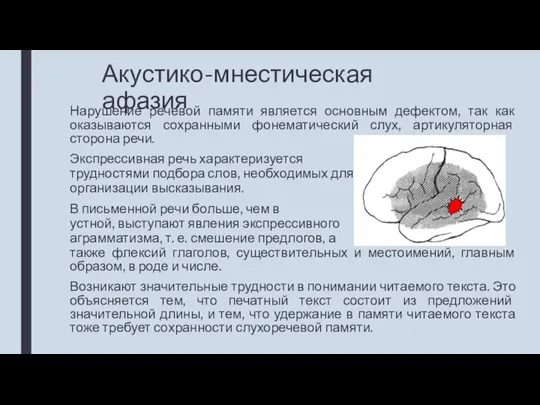 Акустико-мнестическая афазия Нарушение речевой памяти является основным дефектом, так как оказываются