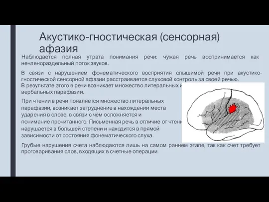 Акустико-гностическая (сенсорная) афазия Наблюдается полная утрата понимания речи: чужая речь воспринимается