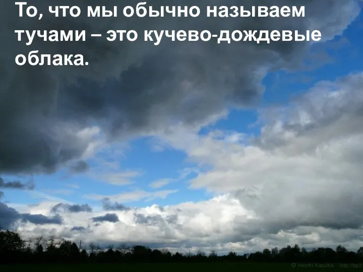 То, что мы обычно называем тучами – это кучево-дождевые облака.