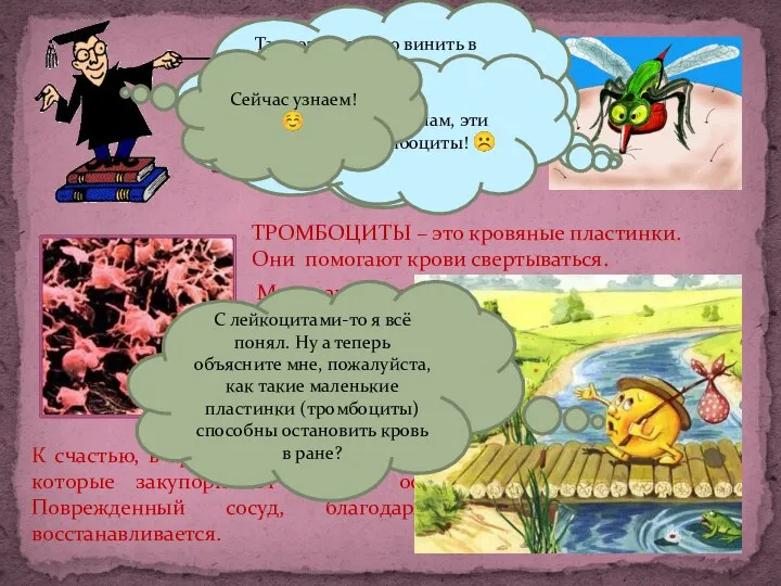 ТРОМБОЦИТЫ ТРОМБОЦИТЫ – это кровяные пластинки. Они помогают крови свертываться. Мы