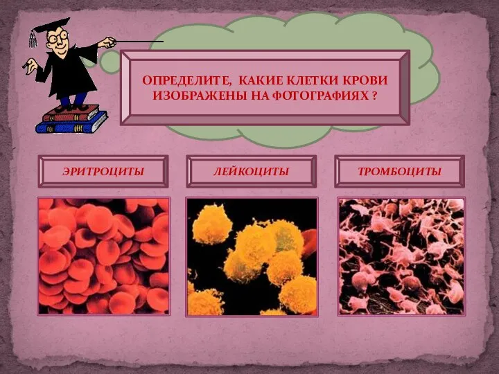 Ну, раз все так хорошо всё поняли, давайте проведём небольшой тест.