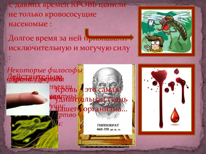 С давних времен КРОВЬ ценили не только кровососущие насекомые : Долгое