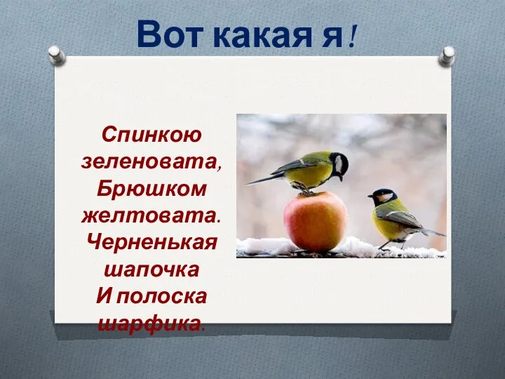 Вот какая я! Спинкою зеленовата, Брюшком желтовата. Черненькая шапочка И полоска шарфика.