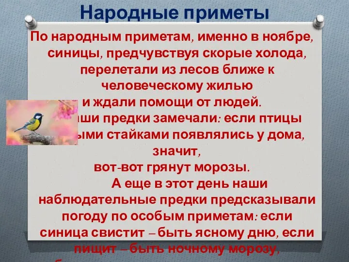 Народные приметы По народным приметам, именно в ноябре, синицы, предчувствуя скорые