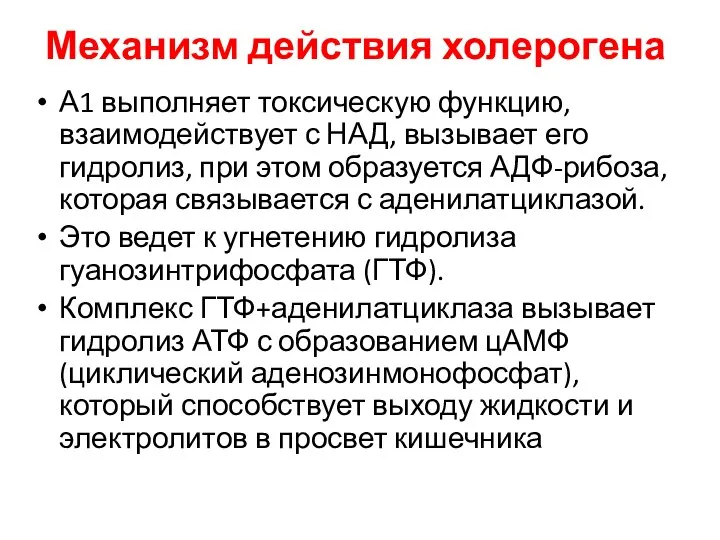 Механизм действия холерогена А1 выполняет токсическую функцию, взаимодействует с НАД, вызывает