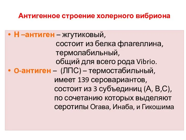 Н –антиген – жгутиковый, состоит из белка флагеллина, термолабильный, общий для