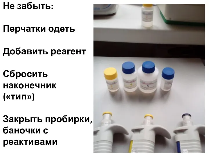 Не забыть: Перчатки одеть Добавить реагент Сбросить наконечник («тип») Закрыть пробирки, баночки с реактивами