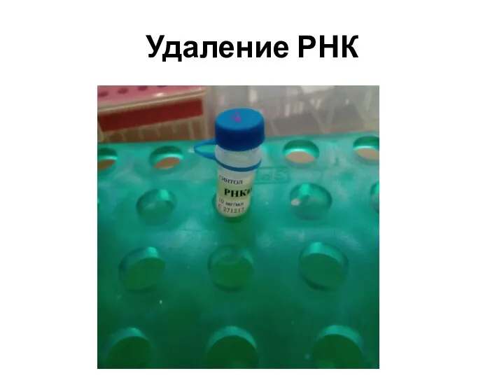 Удаление РНК