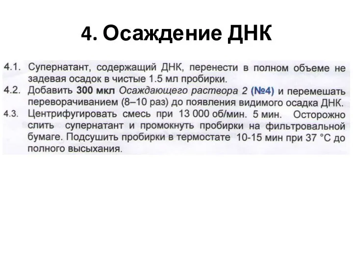 4. Осаждение ДНК