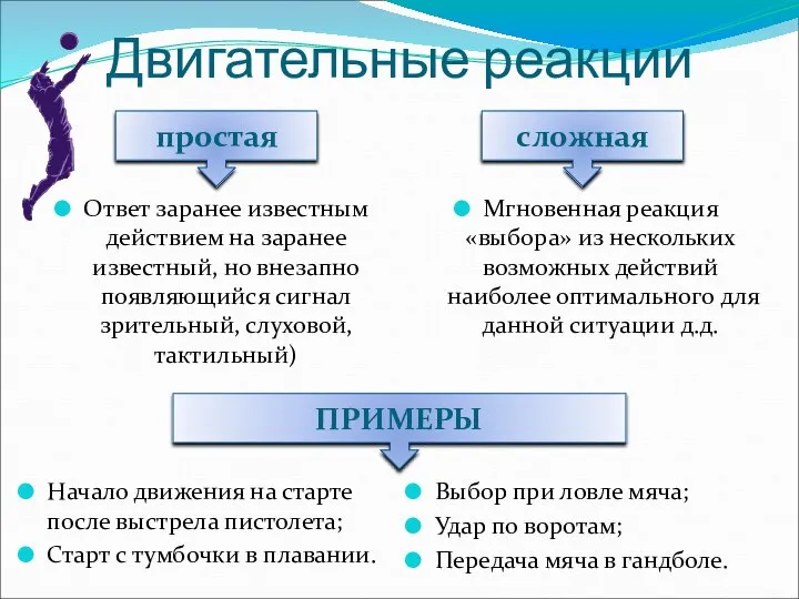 простая Двигательные реакции Ответ заранее известным действием на заранее известный, но