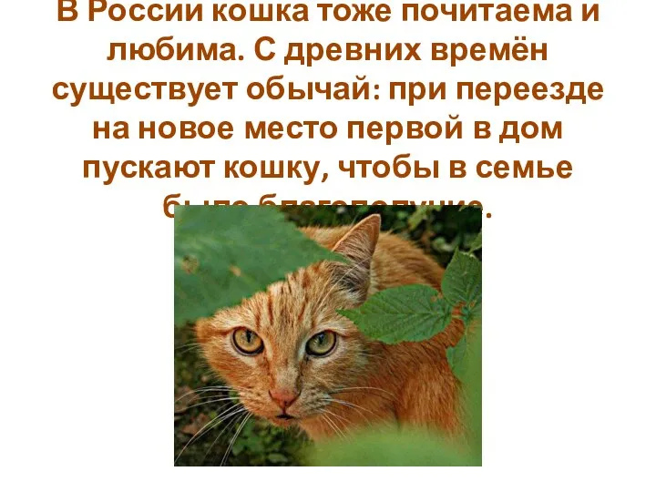 В России кошка тоже почитаема и любима. С древних времён существует