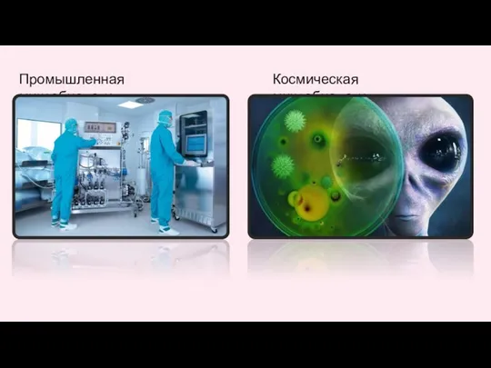 Промышленная микробиология Космическая микробиология