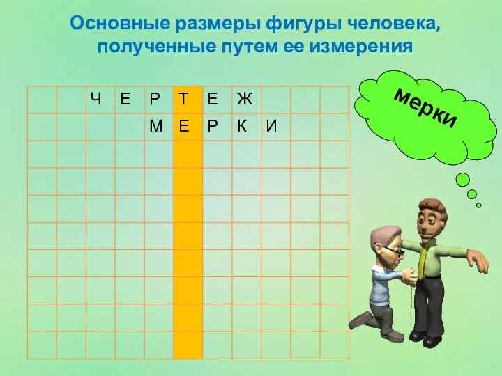 мерки Основные размеры фигуры человека, полученные путем ее измерения